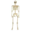 5 Ft Black Light Pose 'N' Stay Skeleton