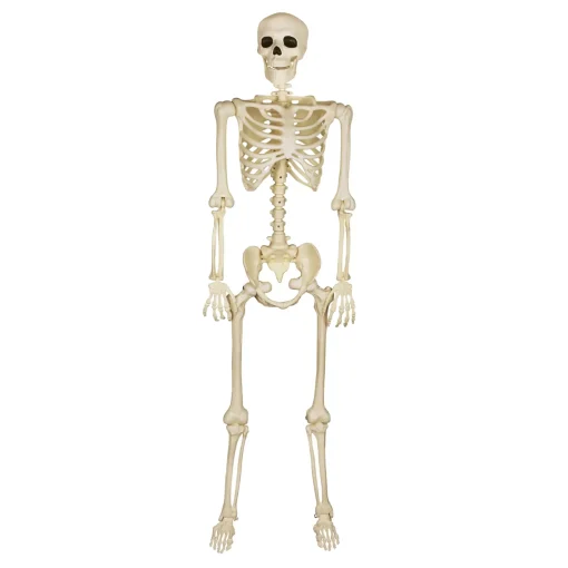 5 Ft Black Light Pose 'N' Stay Skeleton