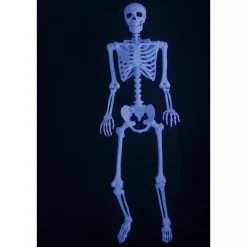 5 Ft Black Light Pose 'N' Stay Skeleton
