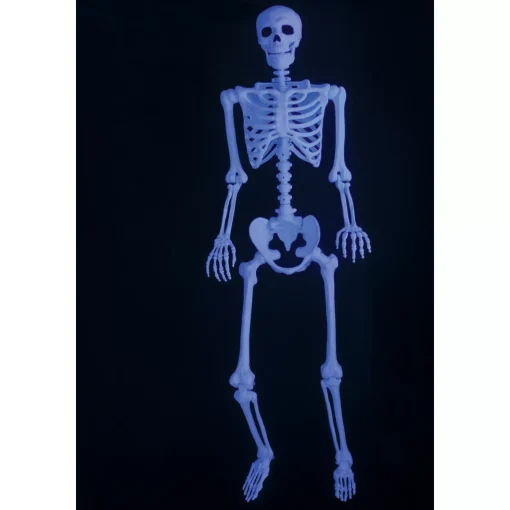 5 Ft Black Light Pose 'N' Stay Skeleton