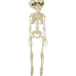 20 Inch Two-Headed Skeleton