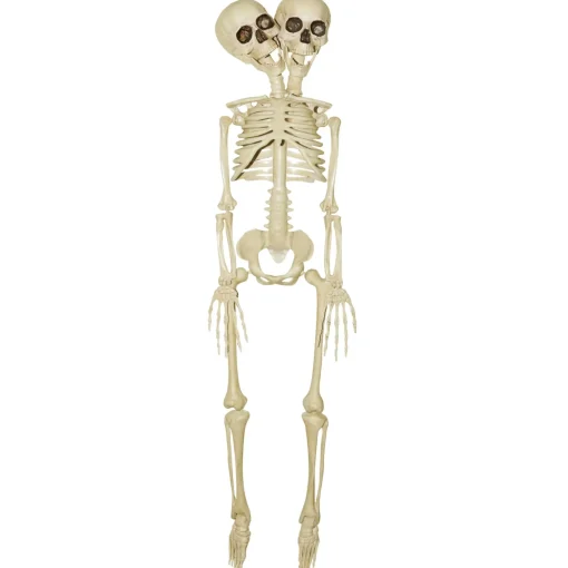 20 Inch Two-Headed Skeleton