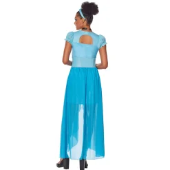 Adult Cinderella Dress Costume- Disney Princess