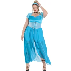 Adult Cinderella Dress Costume- Disney Princess