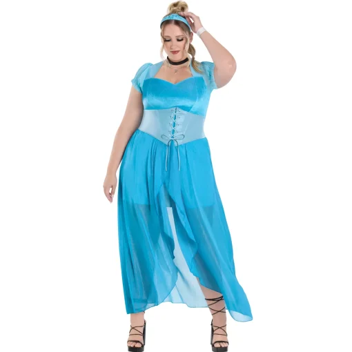 Adult Cinderella Dress Costume- Disney Princess