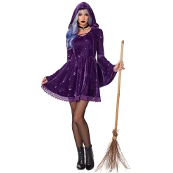 Adult Coven Witch Hooded Dress