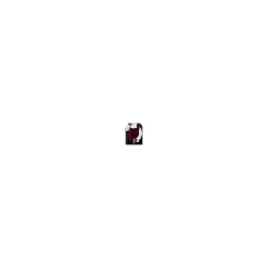 Adult Vampire Costume