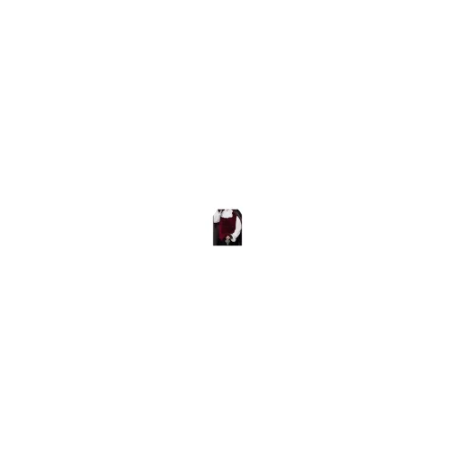 Adult Vampire Costume