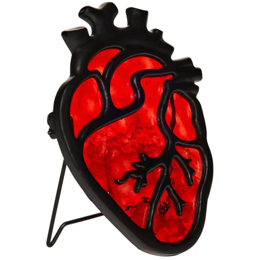 Anatomical Heart Suncatcher
