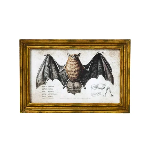 Bat Sign Set - 2 Piece