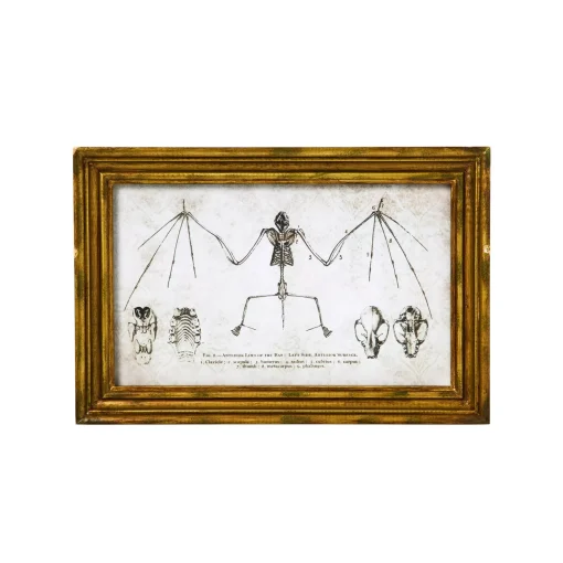 Bat Sign Set - 2 Piece