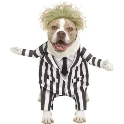 Beetlejuice Pet Costume