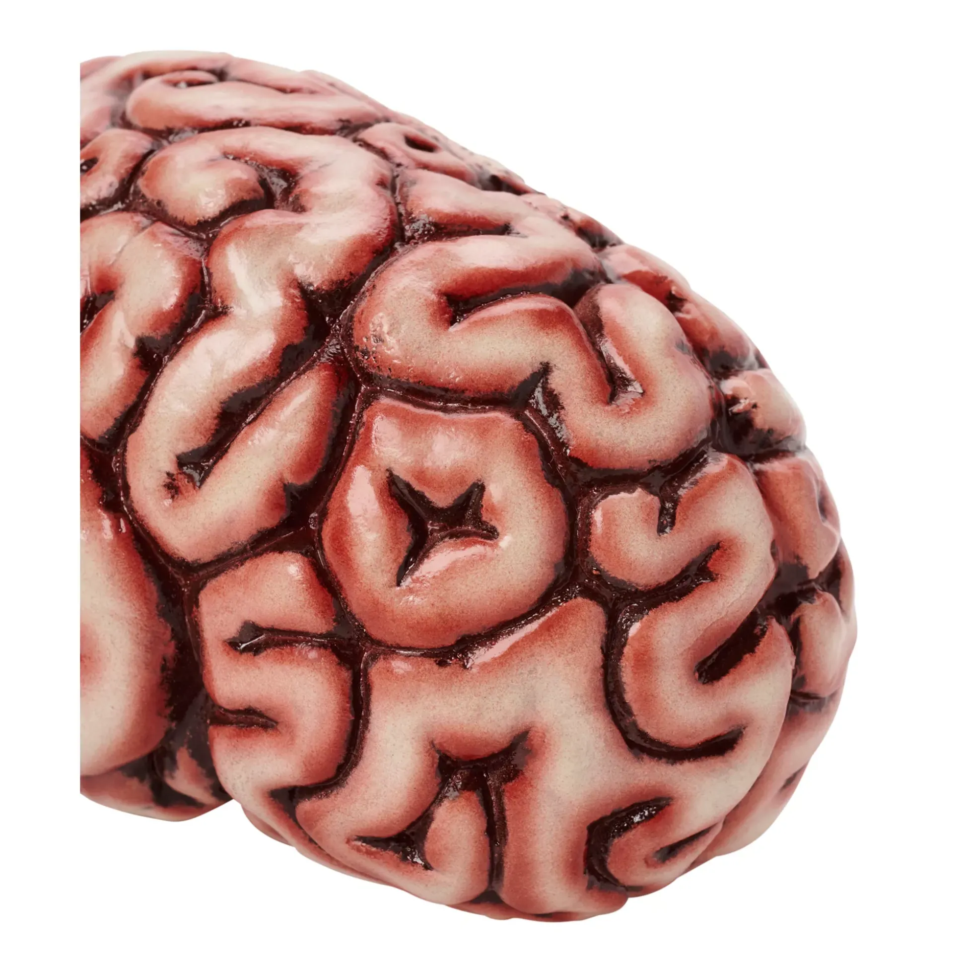 Brain Prop