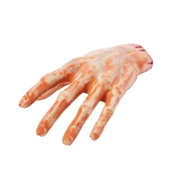 Chopped Off Hand