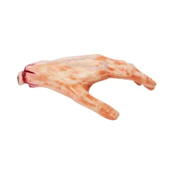 Chopped Off Hand