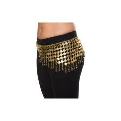 Fortune Teller Coin Belt
