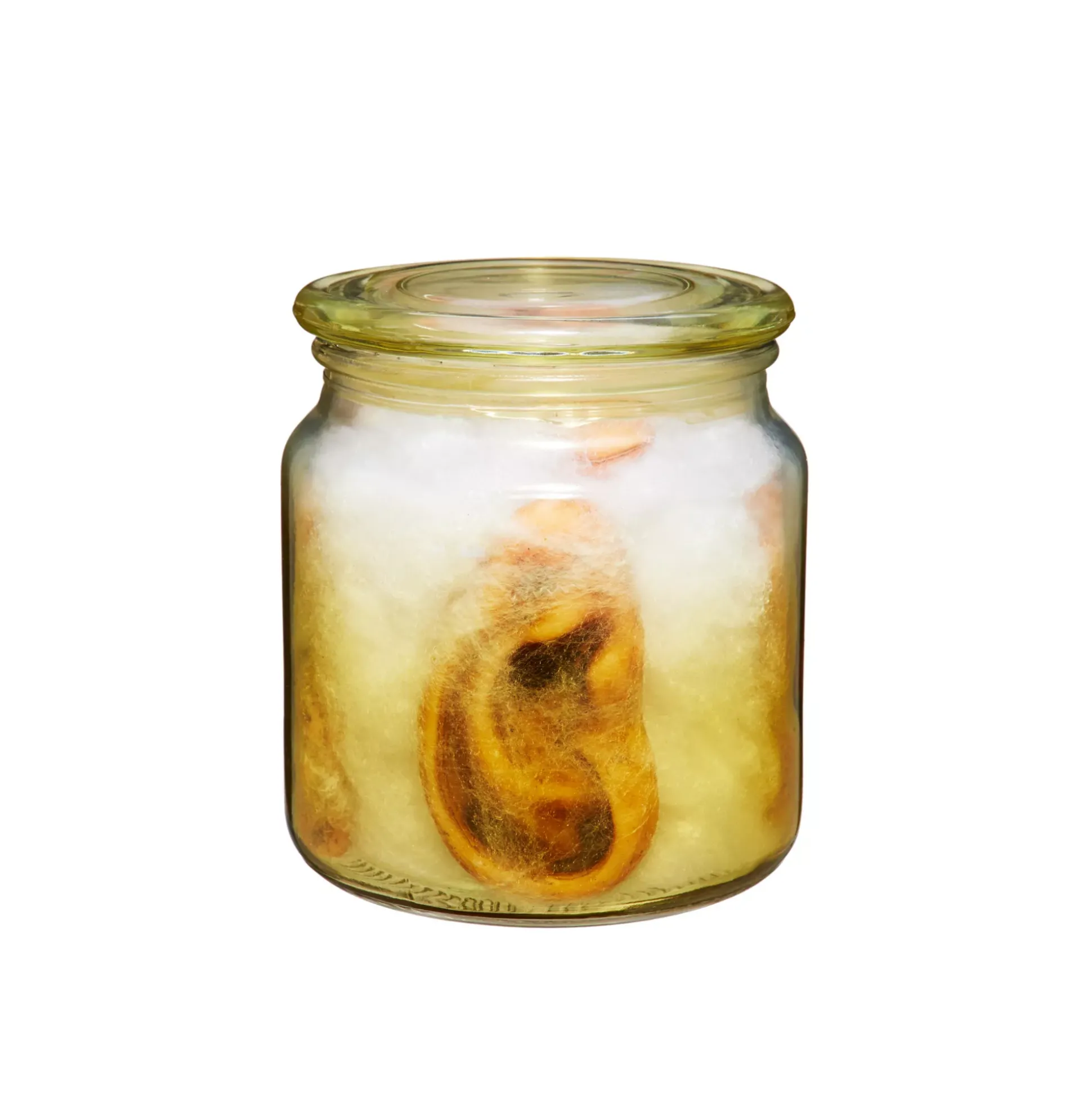 Gothic Noir Ear Jar