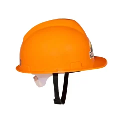 Jurassic Park Hard Hat