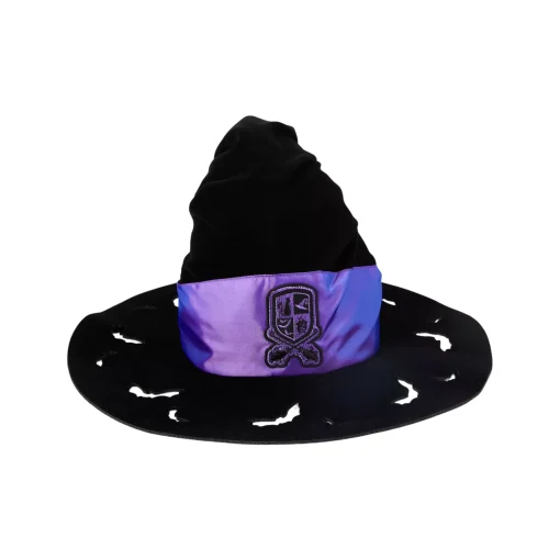 Kids Deluxe Coven Witch Hat