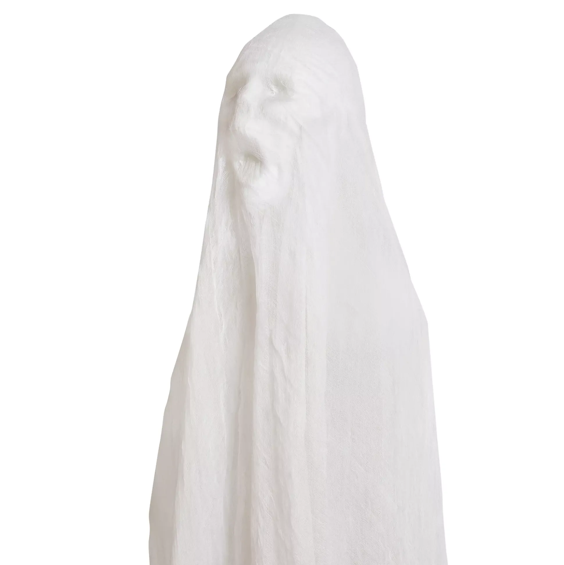Light-Up Hanging Phantom