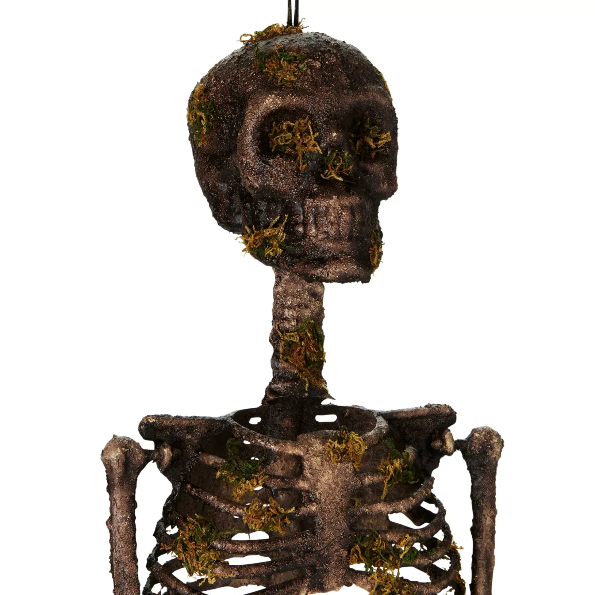 Moss Skeleton