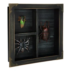 Mystical Arts Insect Sign