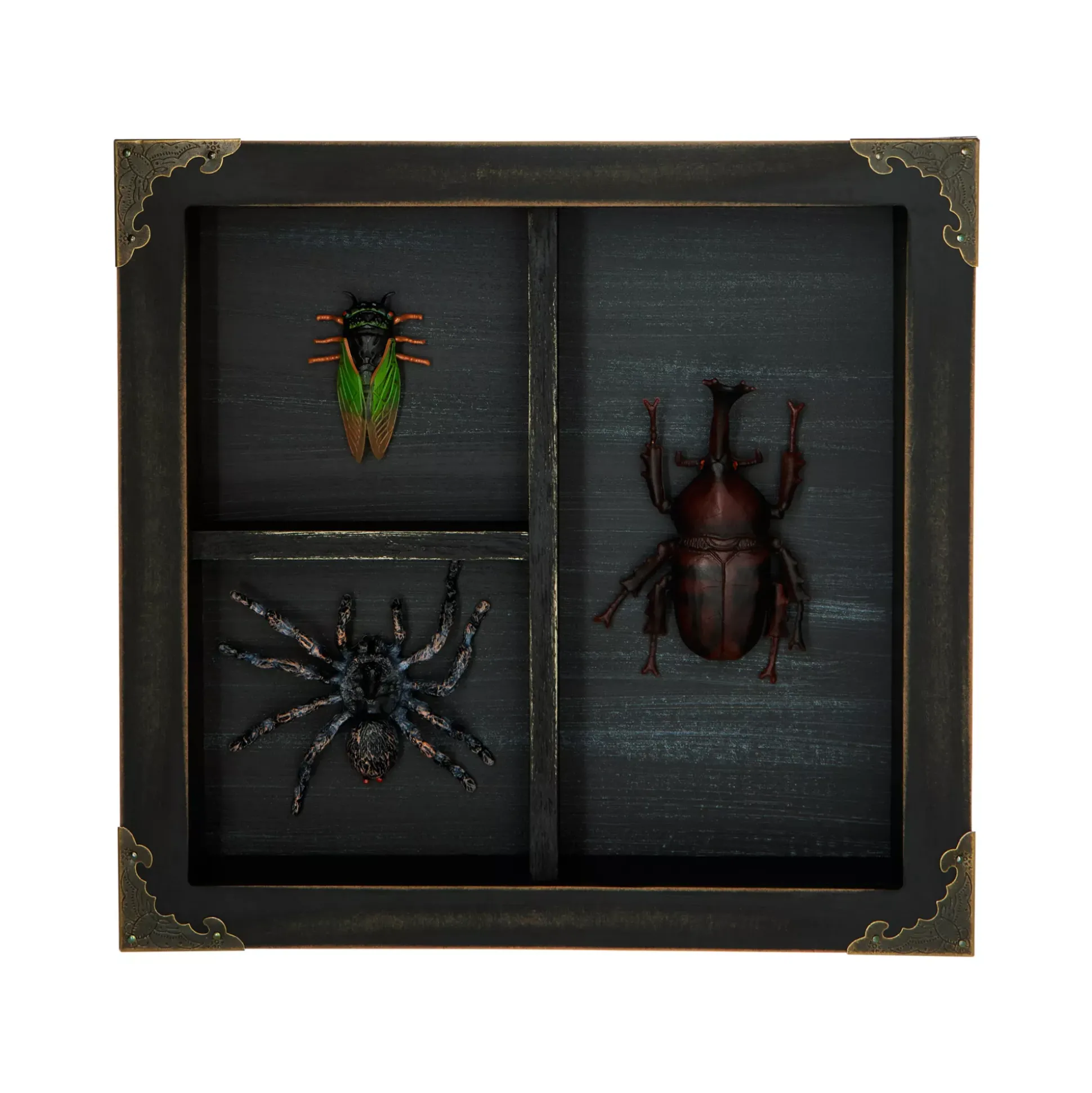 Mystical Arts Insect Sign