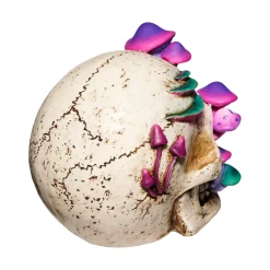 Mystical Arts Mushroom Skull