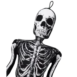 Ossa Bones Comfy Curiosity