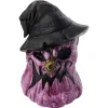 Purple Witch Pumpkin