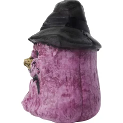 Purple Witch Pumpkin