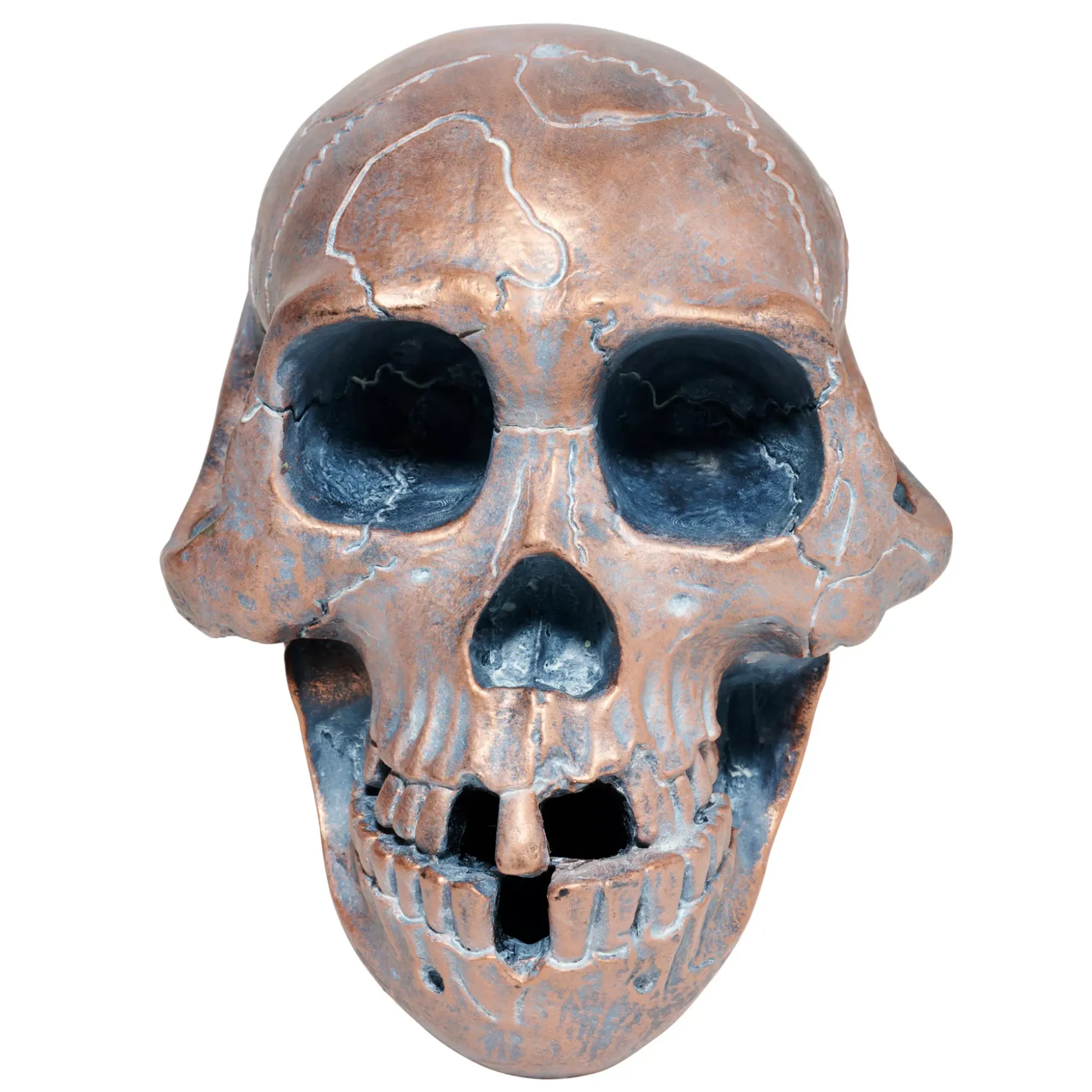 Resin Skull