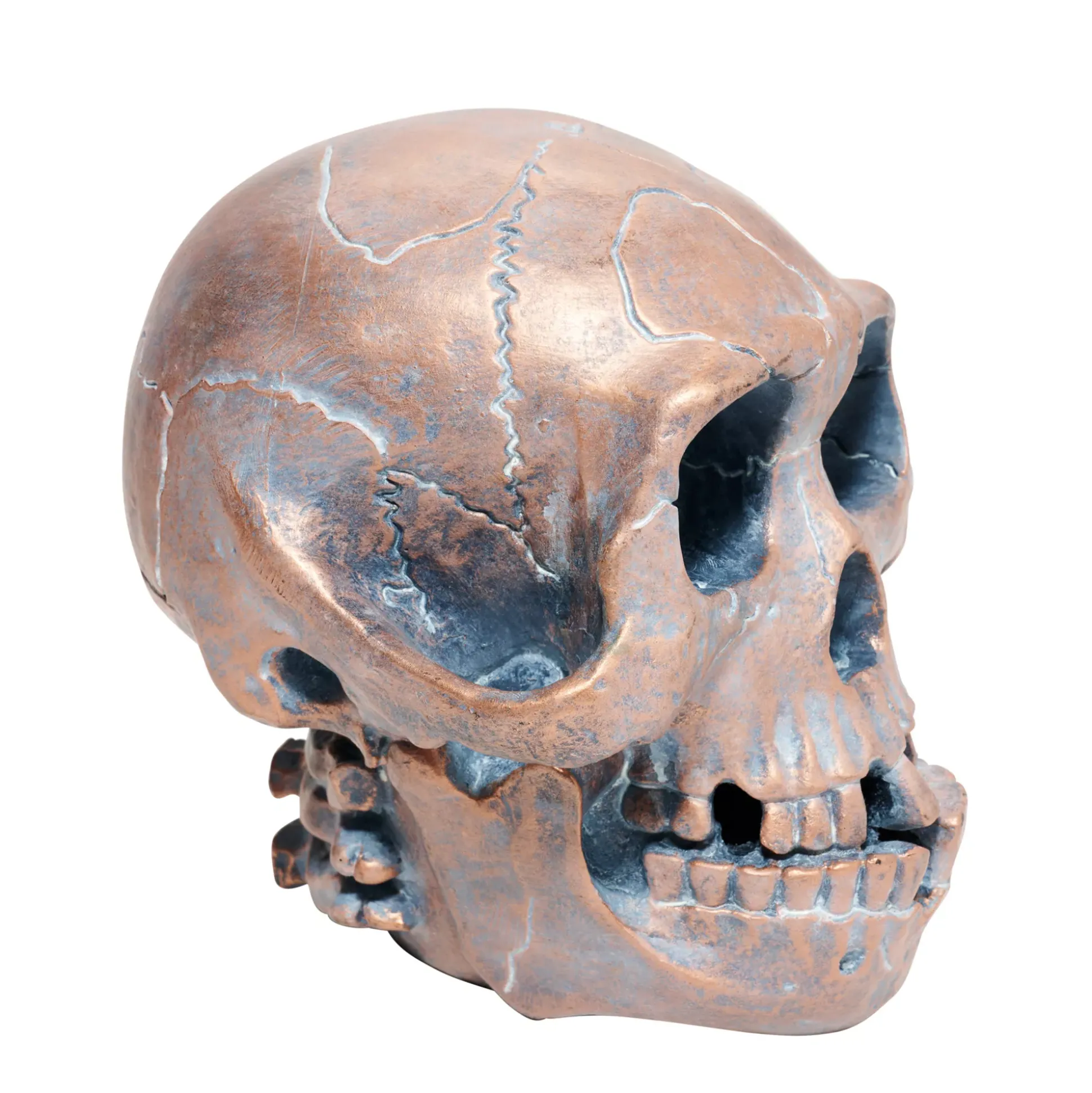 Resin Skull