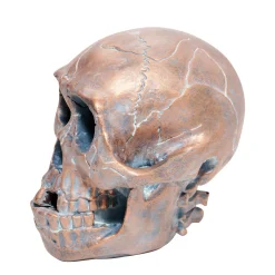 Resin Skull