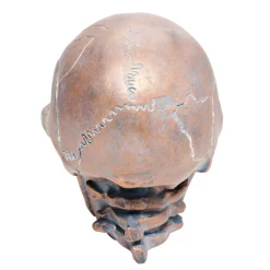 Resin Skull