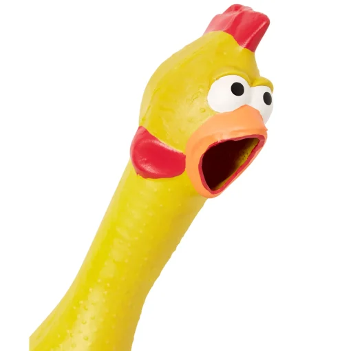 Rubber Chicken