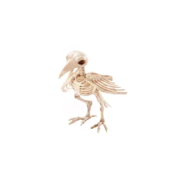 Skeleton Crow