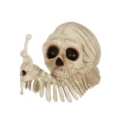 Skeleton Skull Snail
