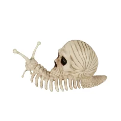 Skeleton Skull Snail
