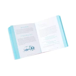 The Crystal Witch Book