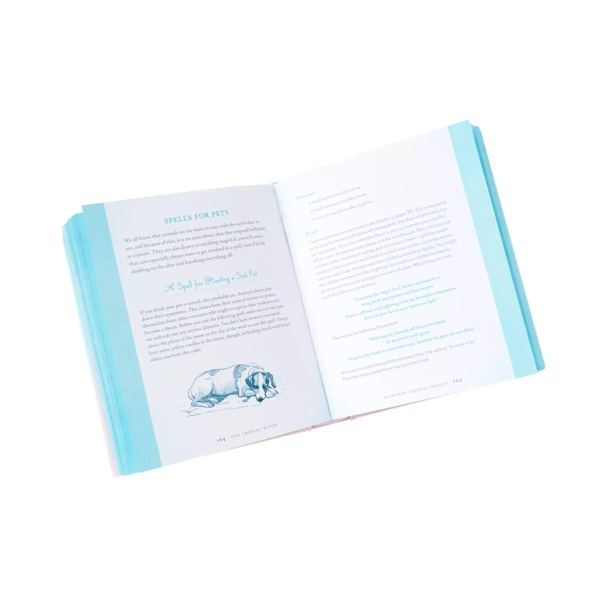 The Crystal Witch Book