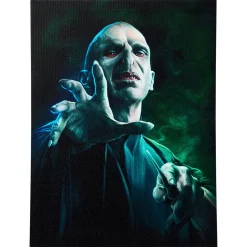 Voldemort Canvas Sign - Harry Potter