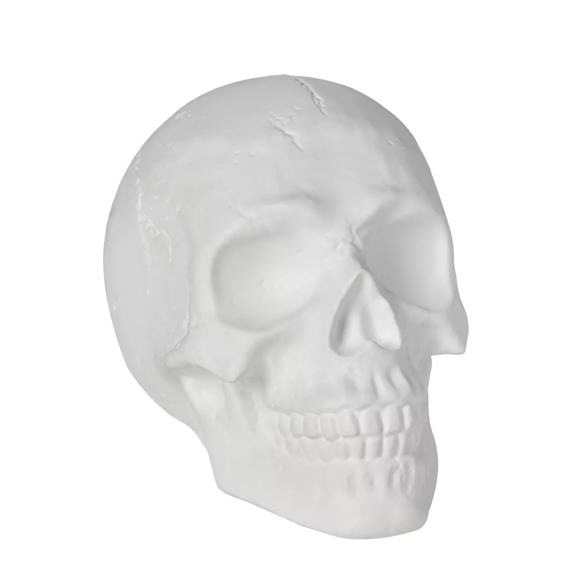 White Skull Tabletop Decoration