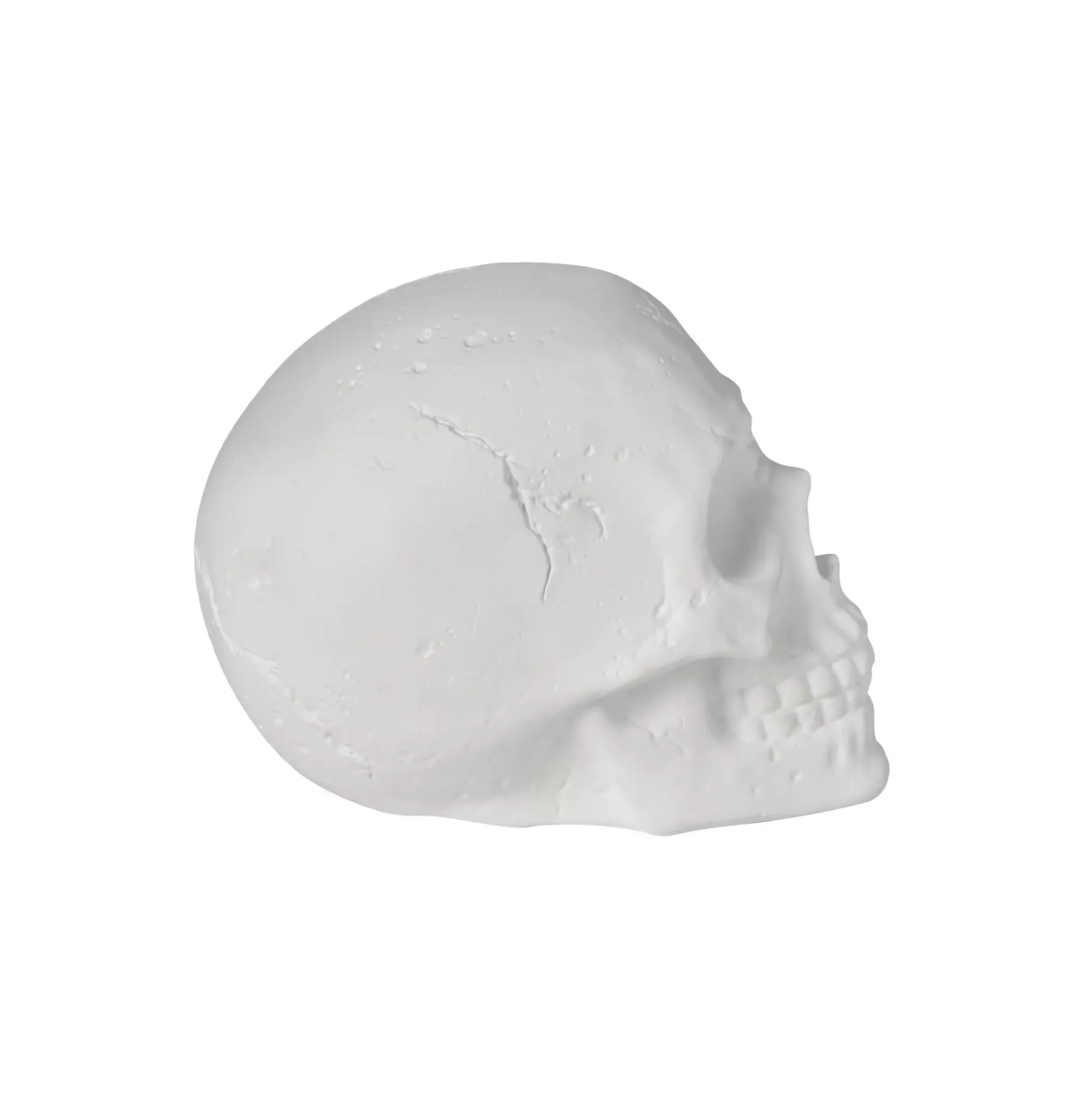 White Skull Tabletop Decoration