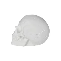 White Skull Tabletop Decoration