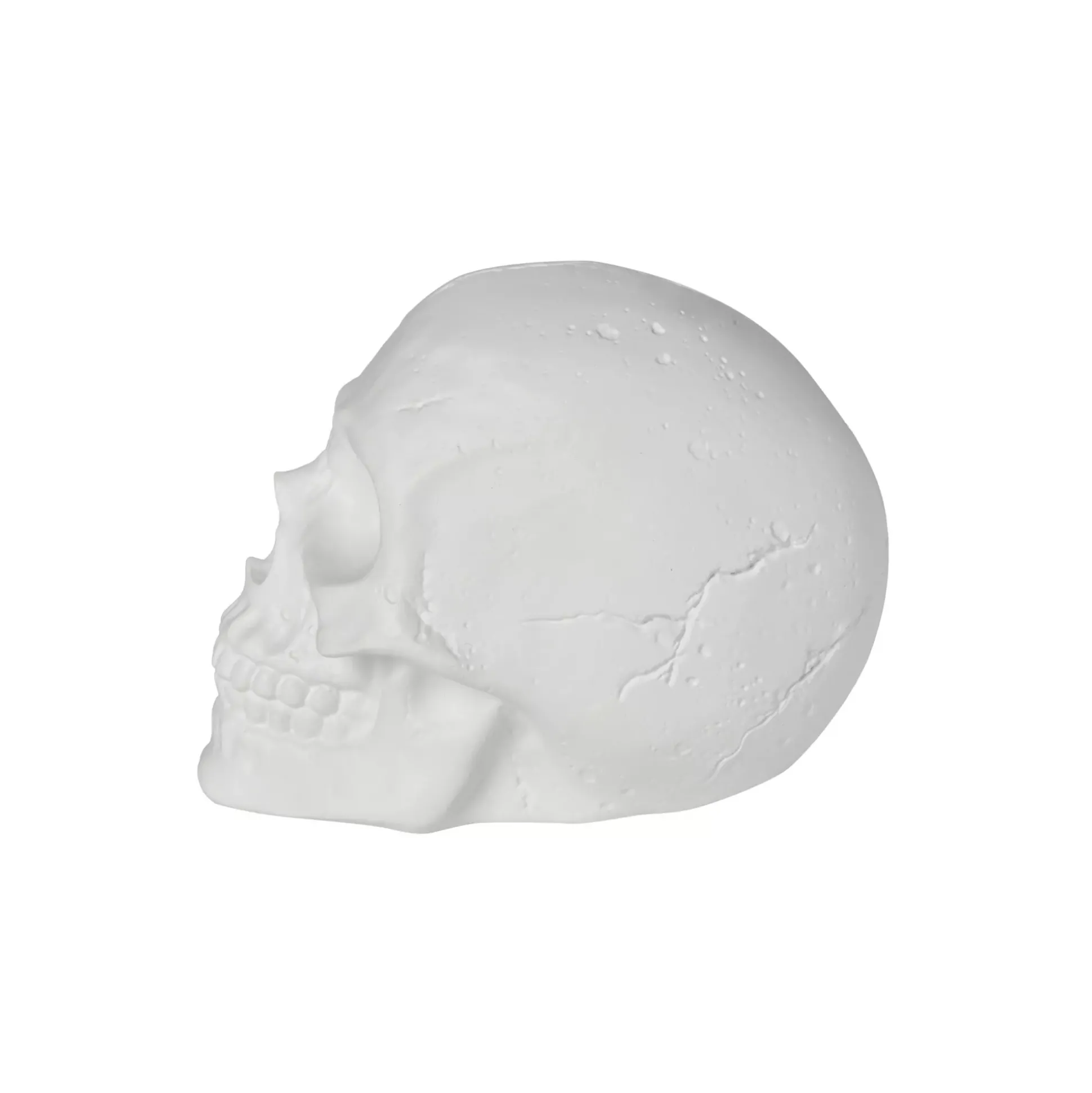 White Skull Tabletop Decoration